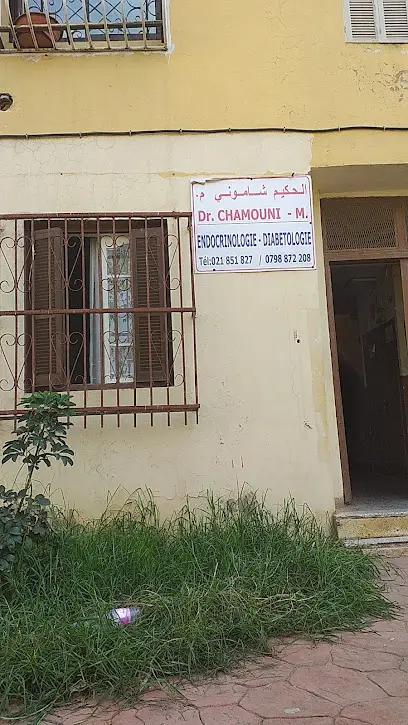 Dr Chamouni endocrinologue