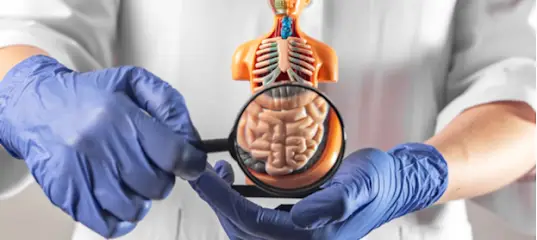 اخصائي امراض باطنية د حمزة ابراهيمي