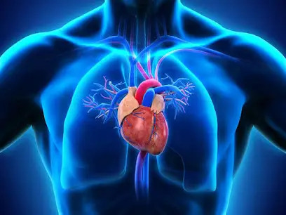 Docteur spécialisé en maladies cardiovasculaires