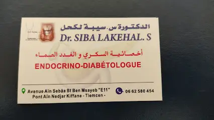Dr S.Siba LAKEHAL