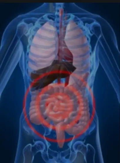 Cabinet médical Dr boussouira gastroenterologue gastro enterologie Bejaia ville