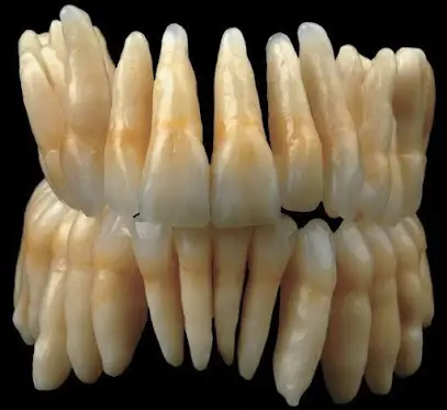 Just Smile Dental Clinic Dr Djebbari Bilel