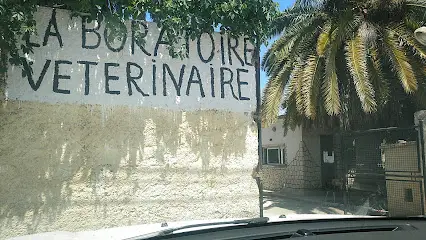 Laboratoire régionale vétérinaire Tizi ouzou