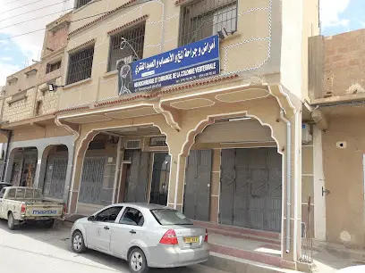 بن سي مسعود عبد الحق