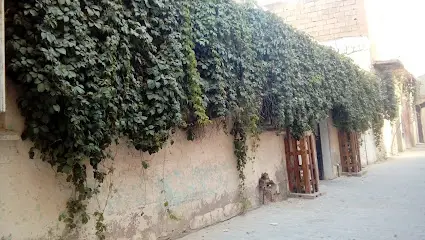 الحكيم محمدي