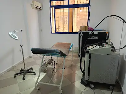 Dr . Ammour
