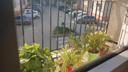 Pédiatre Dr Bechini SW