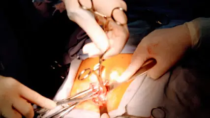 Docteur SADAOUI