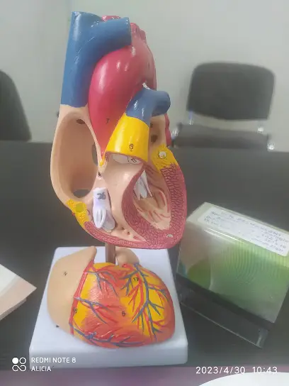 Cardiologue Belhassani