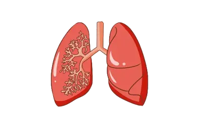 Dr Saidi Nora Pneumologue-Allergologue الحكيمة نورة سعيدي طبيبة مختصة في أمراض الصدر و الحساسية و السل