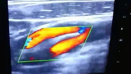 Cardiologue Dr Dahoumane J.I.