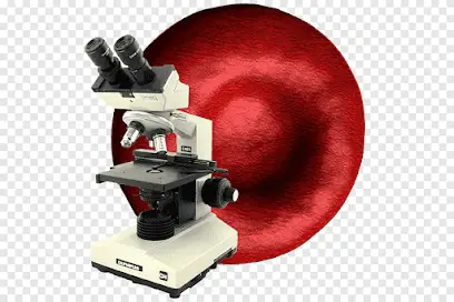 طبيبة امراض الدم بن حبيلس Hematologue Dr Benhabiles Guenoune