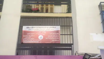 Laboratoire d hématologie Dr Laouamen