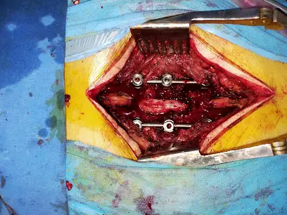 Neurochirurgien ALGER DR FRIK