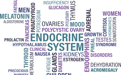 Dr Boumeziane Diabétologue Endocrinologue