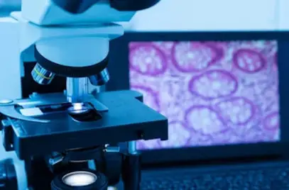 LABORATOIRE ANAPATH DR KHELIFI