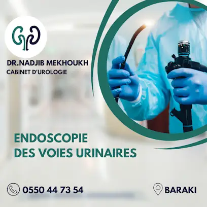 Dr Mekhoukh Nadjib chirurgien urologue