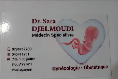 Dr Djelmoudi S